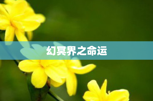 幻冥界之命运图片