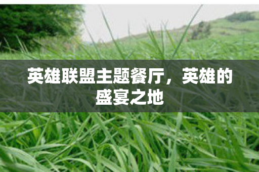 英雄联盟主题餐厅图片