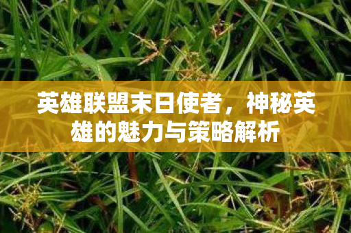 神秘英雄的魅力与策略解析图片