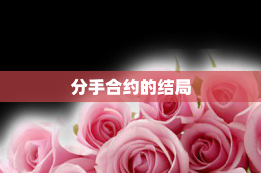 分手合约的结局图片