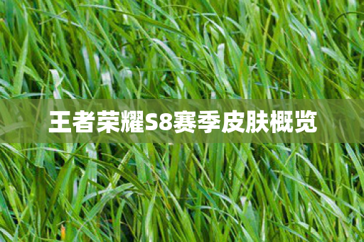 王者荣耀S8赛季皮肤概览图片