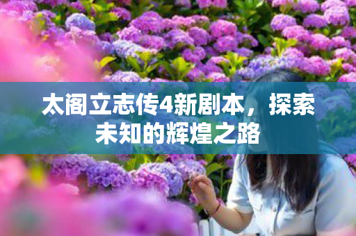 太阁立志传4新剧本图片