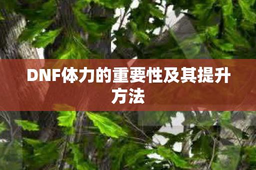 DNF体力的重要性及其提升方法图片