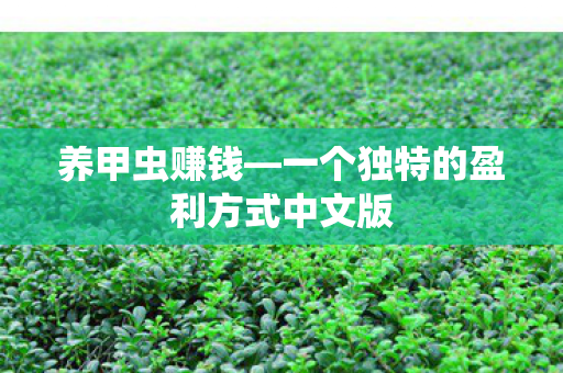 一个独特的盈利方式中文版图片