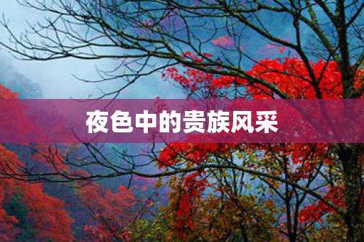 夜色中的贵族风采图片
