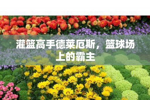 灌篮高手德莱厄斯图片