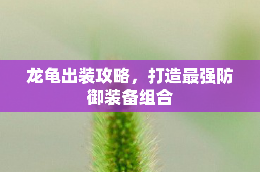 打造最强防御装备组合图片