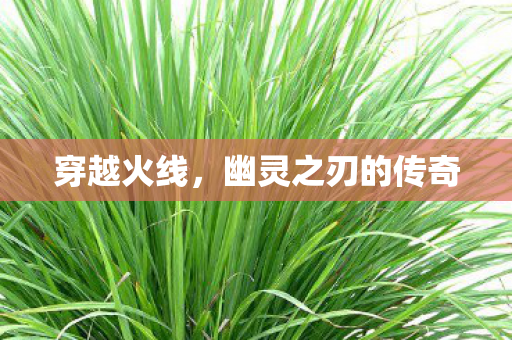 幽灵之刃的传奇图片