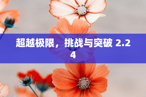 挑战与突破 2图片