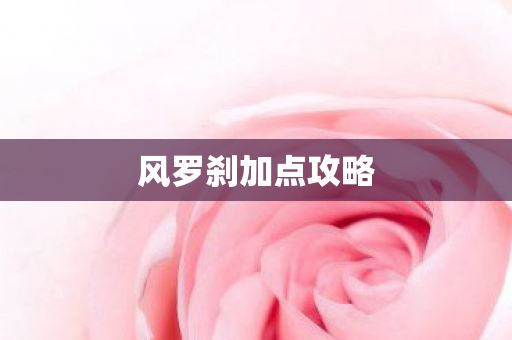 风罗刹加点攻略图片