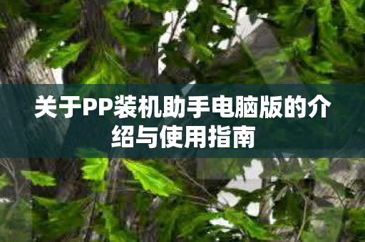 关于PP装机助手电脑版的介绍与使用指南图片