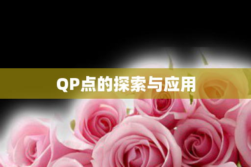 QP点的探索与应用图片