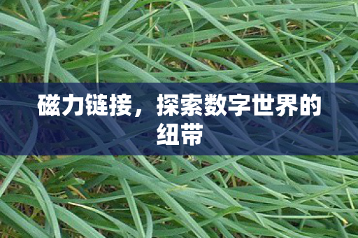 探索数字世界的纽带图片