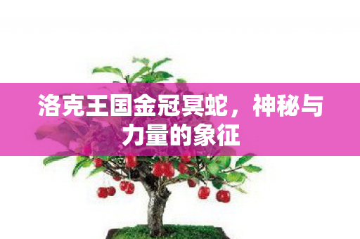 洛克王国金冠冥蛇图片