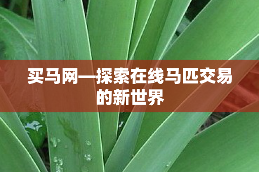 探索在线马匹交易的新世界图片