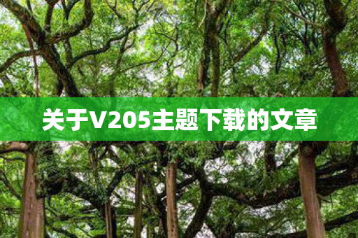关于V205主题下载的文章图片