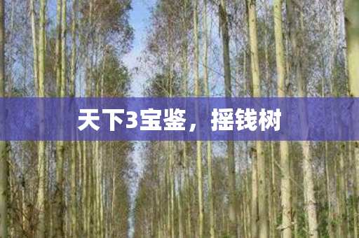 天下3宝鉴图片