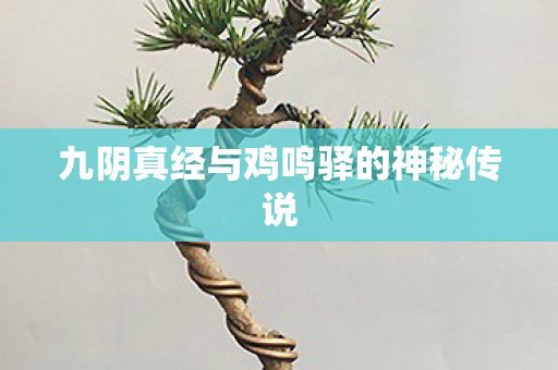 九阴真经与鸡鸣驿的神秘传说图片