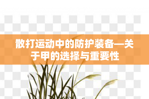 散打运动中的防护装备图片