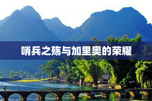 哨兵之殇与加里奥的荣耀图片