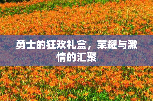 荣耀与激情的汇聚图片