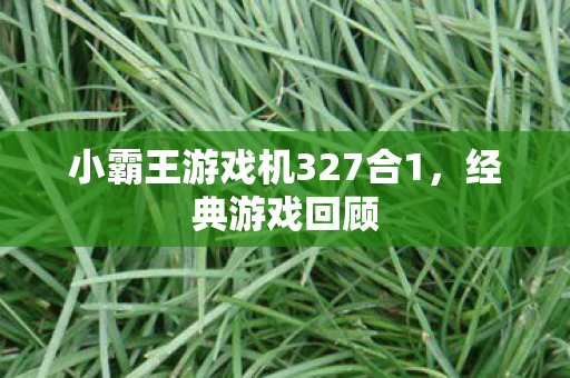 小霸王游戏机327合1图片