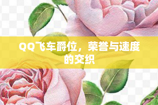 荣誉与速度的交织图片