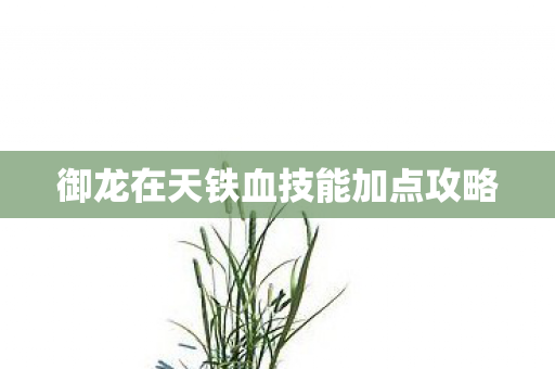 御龙在天铁血技能加点攻略图片