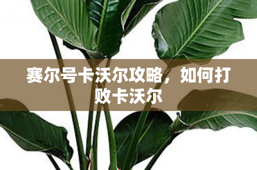 赛尔号卡沃尔攻略图片