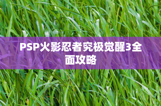 PSP火影忍者究极觉醒3全面攻略图片