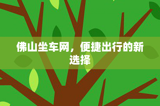便捷出行的新选择图片