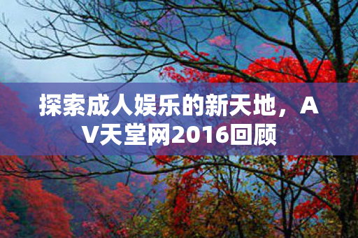 AV天堂网2016回顾图片