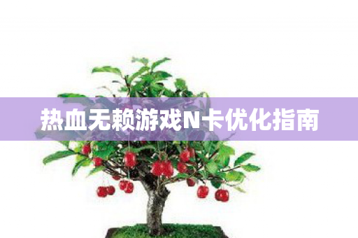 热血无赖游戏N卡优化指南图片