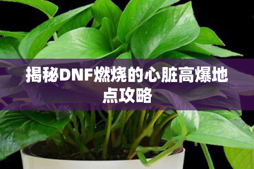 揭秘DNF燃烧的心脏高爆地点攻略图片