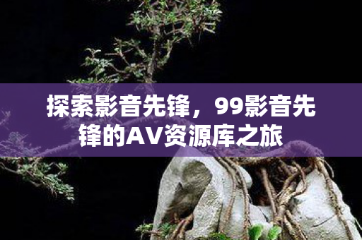99影音先锋的AV资源库之旅图片