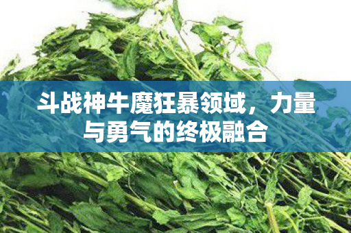 力量与勇气的终极融合图片