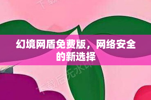 网络安全的新选择图片