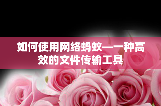 一种高效的文件传输工具图片