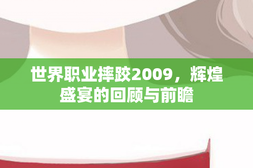 世界职业摔跤2009图片