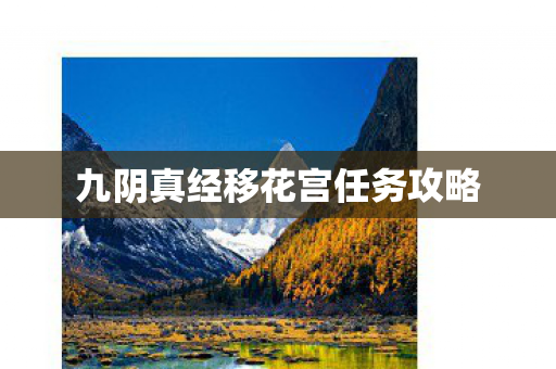 九阴真经移花宫任务攻略图片