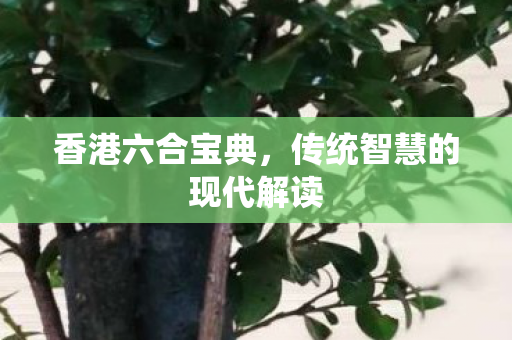 传统智慧的现代解读图片