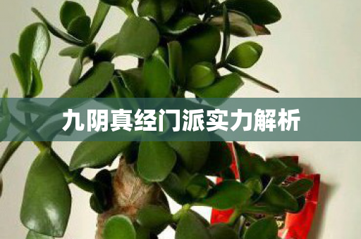 九阴真经门派实力解析图片