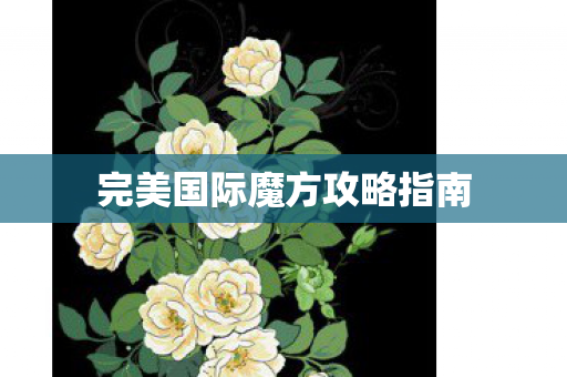 完美国际魔方攻略指南图片