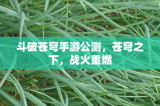 斗破苍穹手游公测图片