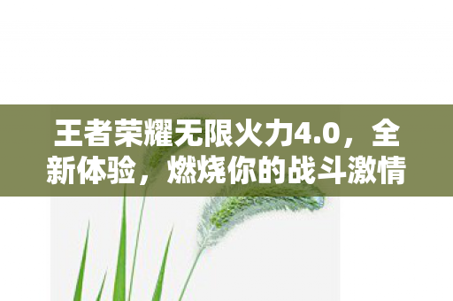 王者荣耀无限火力4图片