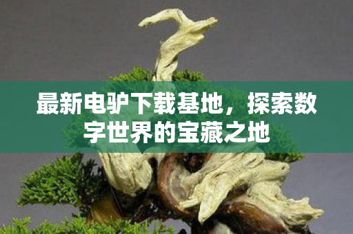 探索数字世界的宝藏之地图片