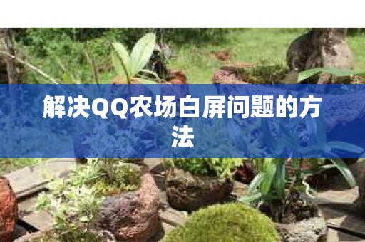 解决QQ农场白屏问题的方法图片