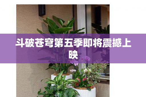 斗破苍穹第五季即将震撼上映图片