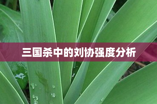 三国杀中的刘协强度分析图片
