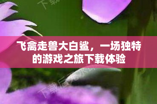 一场独特的游戏之旅下载体验图片